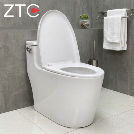 Bàn cầu 1 khối không viền Rimless Toilet ZTC-2225